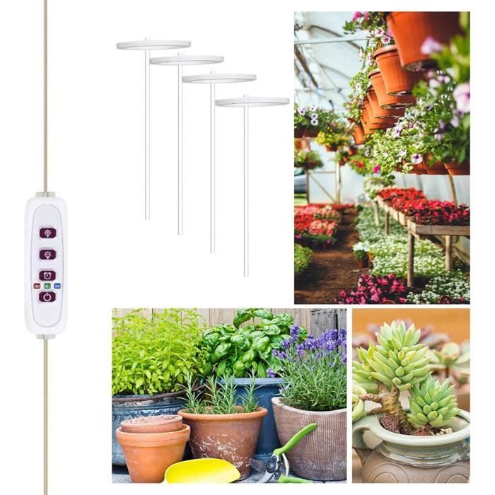 Glc36 Lampe De Croissance Horticole Double à Pince 40w - LED - Lumière De  Culture Pour Plantes - Accessoire de jardinage BUT