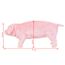 peluche cochon la grande récré