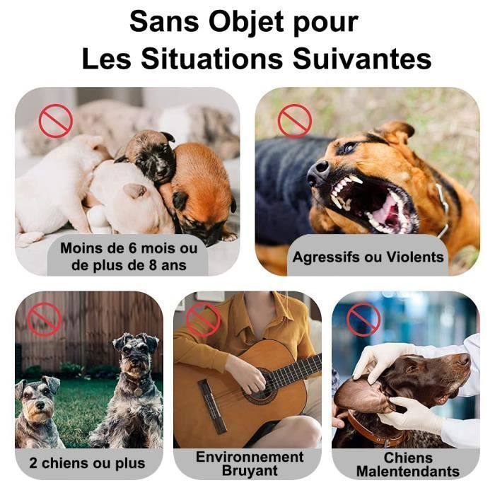 Anti Aboiement Chien à Ultrason Longue Portée, Voisin 33 Pieds Rechargeable Détection