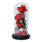 PIXNOR 3 fleur éternelle de rose avec guirlande lumineuse conservée dans un dôme en verre sur socle en bois (sans pile)