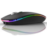 Souris sans Fil, Souris Bluetooth Rechargeable Portable Souris Silencieux (800-1200-1600DPI) pour Tablet/Laptop/Windows/Linux Noir