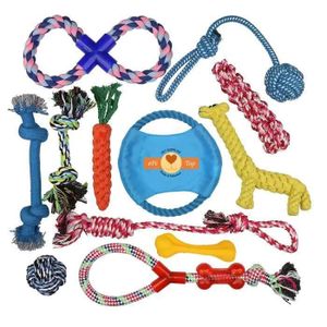 KIT JOUET - ACTIVITÉ Lot de 12 Pièces Jouets pour Chien Cordon de Tirag