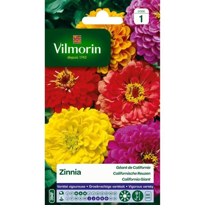 VILMORIN Zinnia Géant de Californie varie