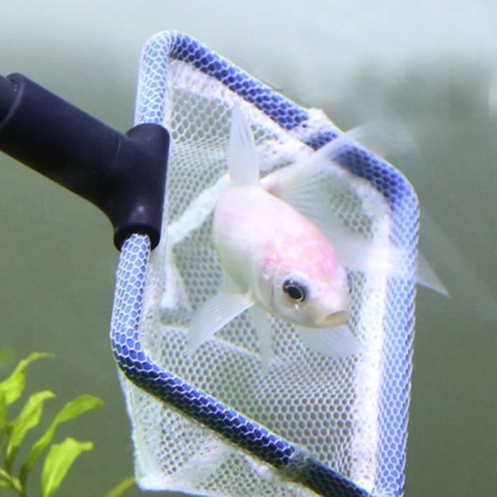 Kit de nettoyage complet d'aquarium 5 en 1 filet de poisson / râteau grattoir fourchette éponge AQUARIUM