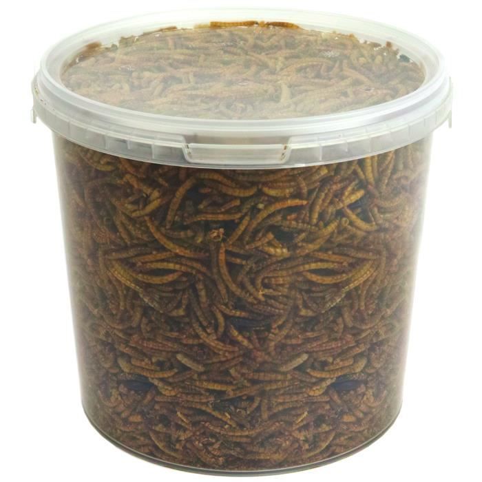 Vers de farine séchés (2.5L) - Friandises nutritives pour oiseaux sauvages