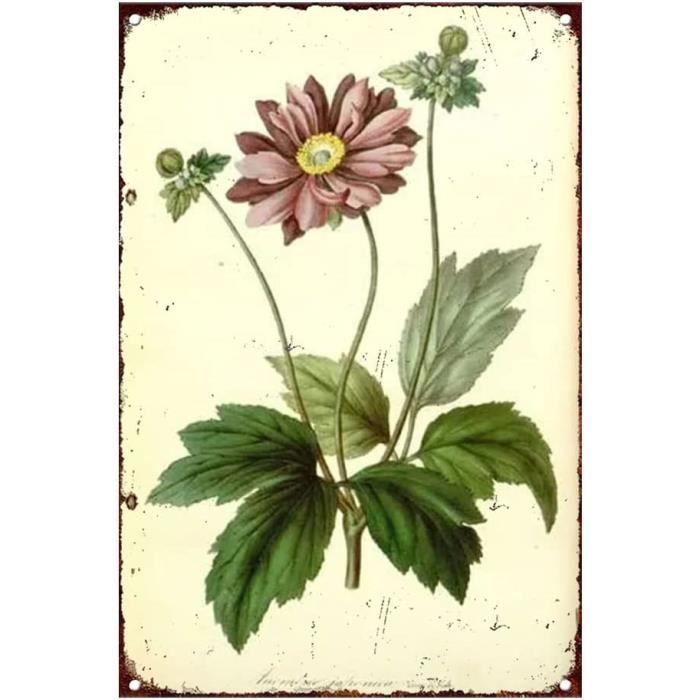 plaque en métal SAVON A LA ROSE Vaissier fleurs style vintage 25x36cm