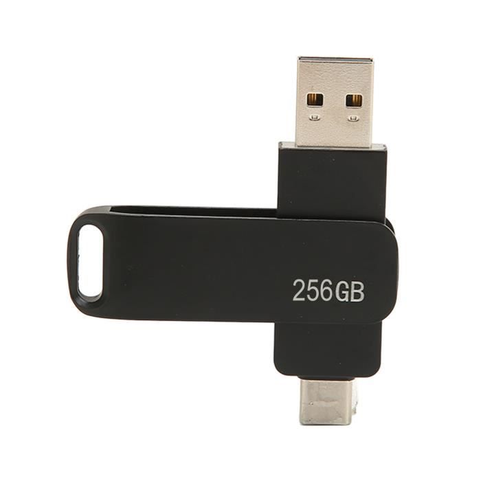Clé USB 3.0 Type C 2 en 1 pour téléphone portable - FDIT - HEG - 256 Go -  Métal - Cdiscount TV Son Photo