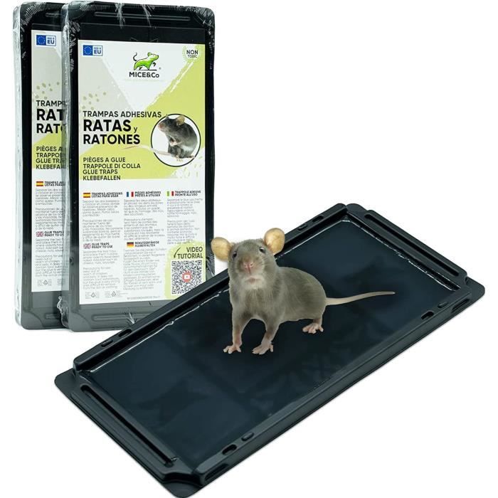 Lot 12 Pièges à Souris/Rats Répulsifs - Protection 90 Jours, Pour Cuisine, Garage, Jardin - Intérieur/Extérieur