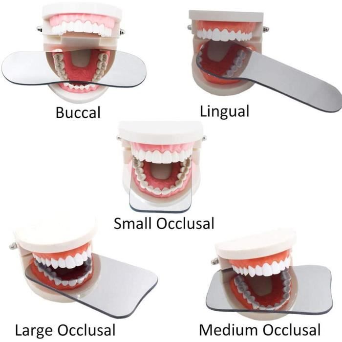 Miroir dentaire en acier inoxydable photographie miroir orthodontique  dentaire intra oral Autoclavable miroirs outil de dentiste de soins  buccaux~Type 5