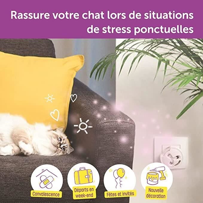 FELIWAY Optimum - Anti-Stress pour Chat - Kit Complet : :  Animalerie