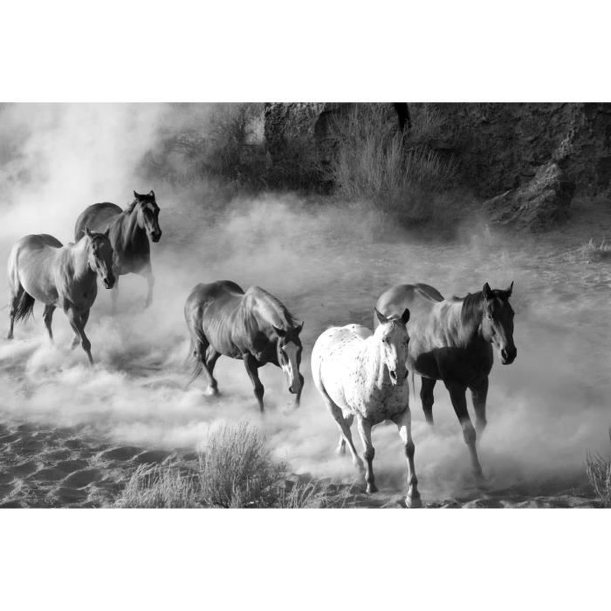 Gratuit Images Papier Peint Photo Intisse 201483 Chevaux Sauvages 300x223 Cm 6 dernière par