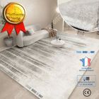 INNOVTEC TD® Tapis imitation cachemire minimaliste moderne recouvert d'une couverture antidérapante et anti-salissures 120*160cm