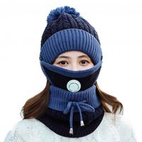 Ensemble de gants et bonnets tricotés pour femmes, bonnet, écharpe, cache-visage, pour garder au chaud, pour l'exté Bleu -WGHY1354