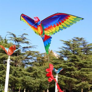 CERF-VOLANT SALALIS cerfs-volants pour débutants faciles à piloter Cerf-volant perroquet 3D facile à piloter, cerf-volant jeux air couleur