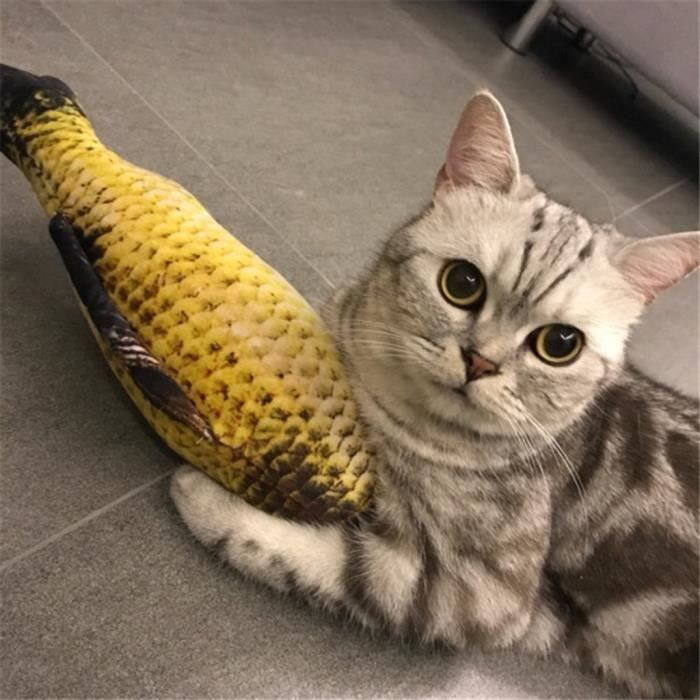 Jouet pour chat réaliste poisson cataire à la menthe en peluche animal jeu de mastication interactif 20cm UH1414