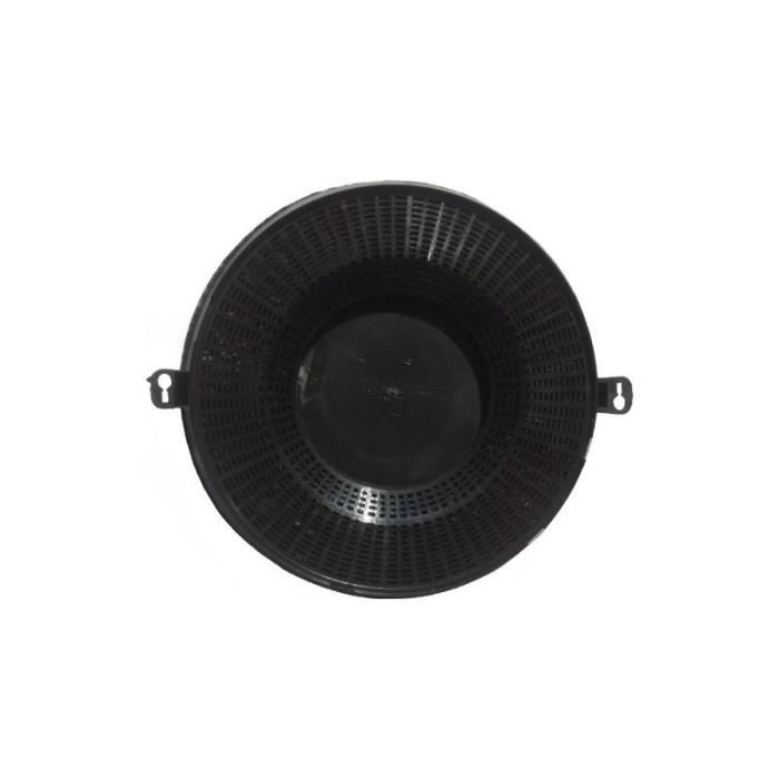 Filtre à Charbon Original Indesit modèle 48 c00266961