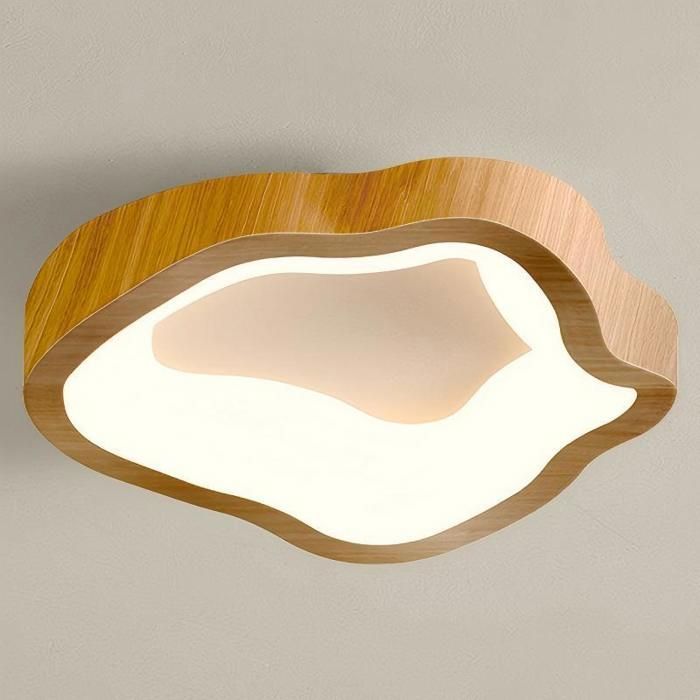 WOTTES Plafonnier LED Style Moderne - 14W Blanc chaude IP54 Imperméable Lampe de Plafond Pour Salon Couloir - 1pcs Naturel Ø23CM