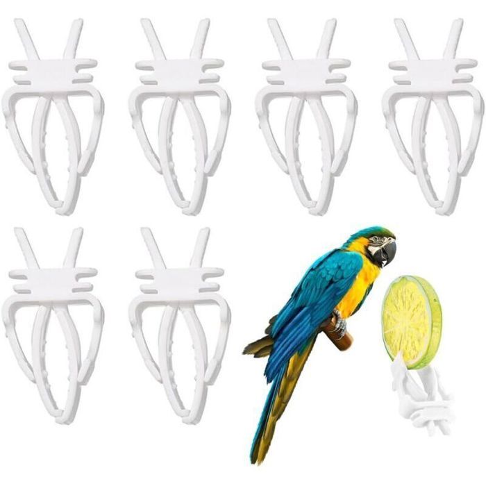 6pcs pinces nourriture – Plastique durable – Fixation fruits légumes pour perroquets perruches – Blanc 5.9x2.8cm