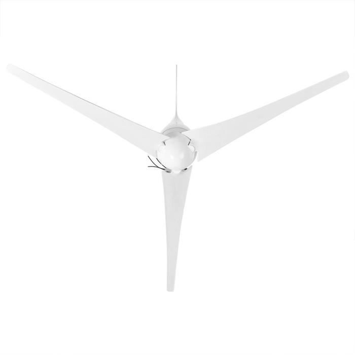 Alomejor générateur d'éolienne 500W DC12V éolienne 3 lames Kit de générateur de vent équipement de producteur d'électricité