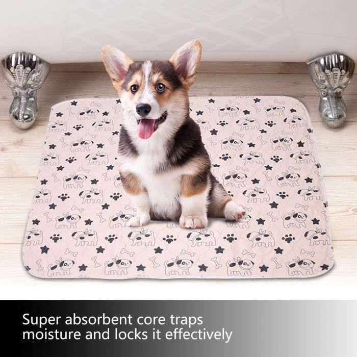 Dans Le Nom Avare Regardez Mon Chien Fait Pipi Sur Le Tapis Avec Dautres Groupes Alouette Thermometre
