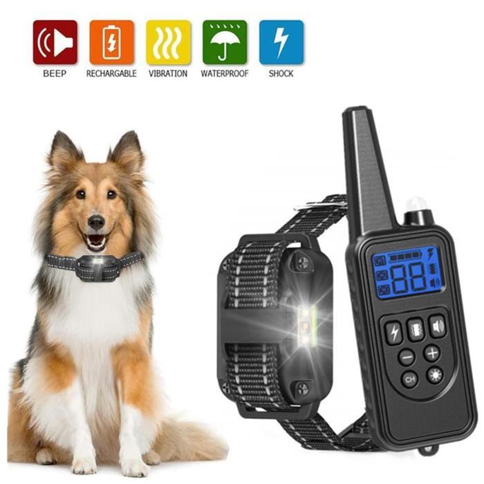 Collier de Dressage pour Chiens Rechargeable et IP67 Étanche avec Distance de 800m avec 99 Niveaux de Mode Vibration