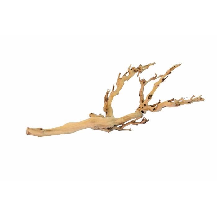 Meilleurs prix pour Exoterra Bois d'Ornement pour Reptiles Pied de Vigne Sablé:  Animalerie