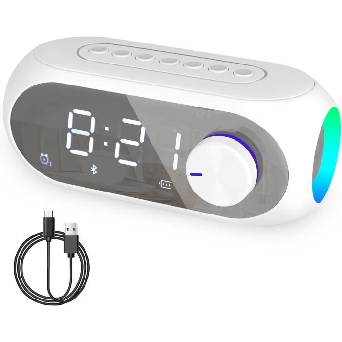 Inscabin Radio Internet D2/D4 Avec Bluetooth, Spotify Connect, Double