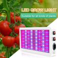 Lampe de Plante 2500W/3500Lumen, 312 LEDs Lampe pour Plante Spectre Complet, Trois modes d'éclairage LED Lampe de Culture-1
