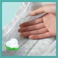 Pampers Baby-Dry Taille 7 50 Couches, Jusqu’À 12 h De Protection Intégrale Contre Les Fuites, 15kg et plus +-1