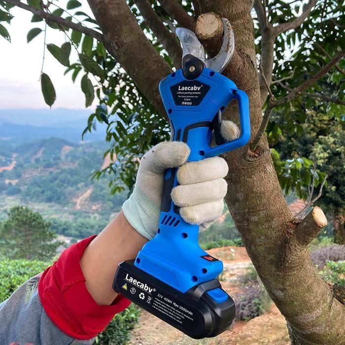 Laecabv Ciseaux de taille électriques 40 mm progressif professionnel avec 2  21 V/2 Ah batterie pour jardin oliviers arbre à fruits vignoble (LA40) :  : Jardin