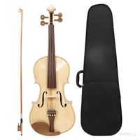 Kits de démarrage pour violon 4/4, Kits de violon pour débutants, violon en bois pour amateurs de violon, adolescents et enfants