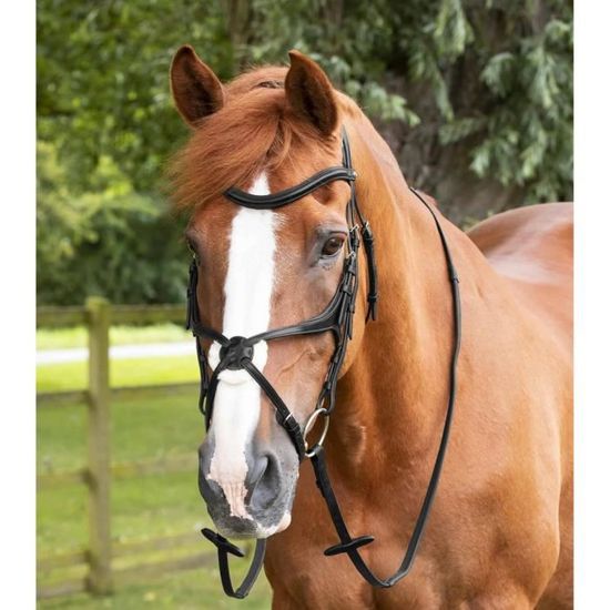 Rênes D'équitation COLLEGIATE SHOW - Cuir Et Caoutchouc - 5/8 X 108 Pouces