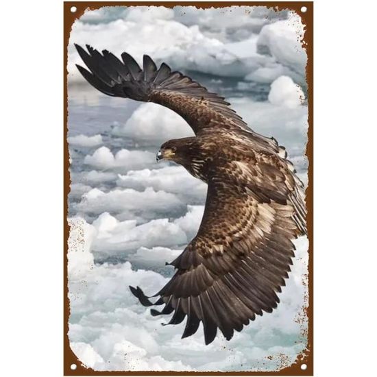 Aigle puissant  - 90 x 90 main image 1