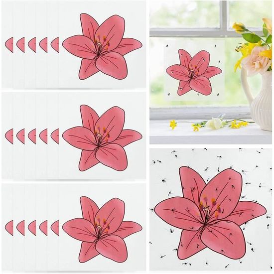 24pcs Anti Moucherons Interieur, Pièges à Insectes,Attrape Moucheron