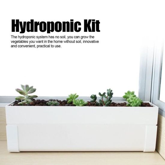 VGEBY boîte hydroponique Culture hors-sol Kit Hydroponique Plantes Hydroponique Plantation Jardin Intérieur Kit de jardin essence