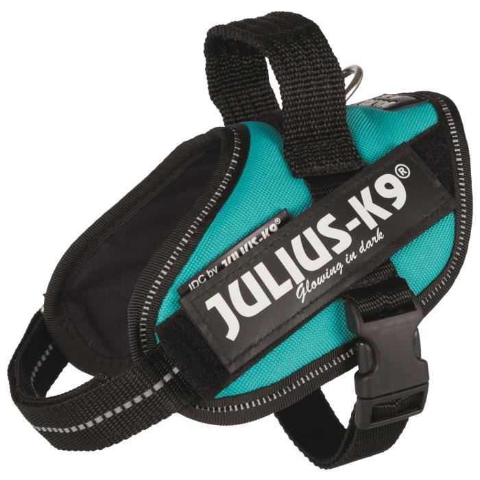 JULIUS-K9 Harnais Power IDC - Mini - M : 49-67 cm-22 mm - Pétrole - Pour chien