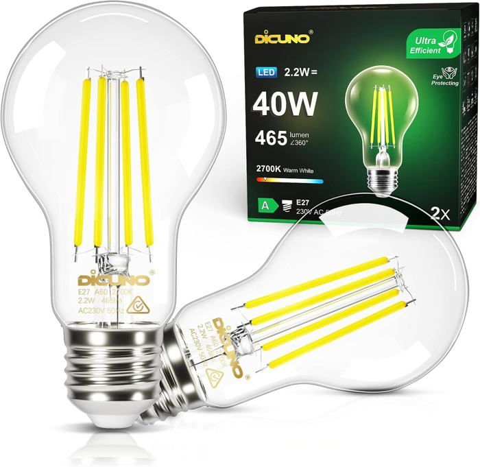 Ampoule LED Ultra Efficient E27 Blanc chaud 2700K 2.2W équivalent 40W Ampoule LED filament Edison à économie 465lm 2 Pièces