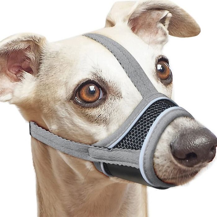 INF Muselière Réfléchissante pour Chien - Nylon Doux Ajustable Respirante en Maille pour Animaux de Compagnie M