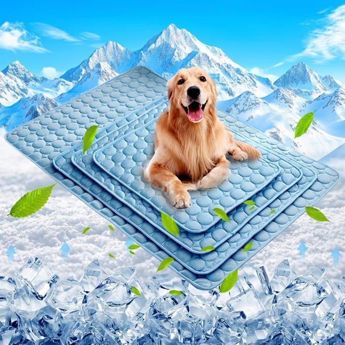 Tapis rafraîchissant pour chien couverture/tapis en fibre de soie glacée pour animaux de compagnie lavable et portable70 cm×50 cm