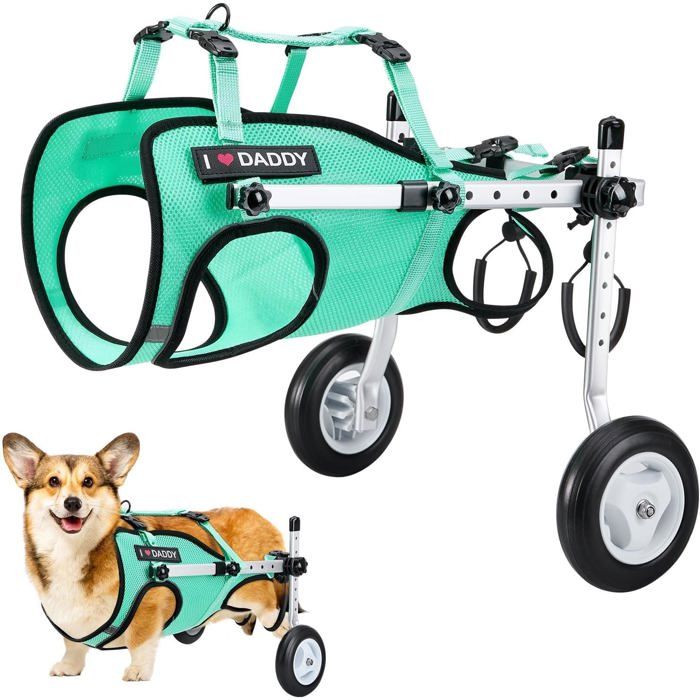Chariot de mobilité pour chien taille vert émeraude fauteuil roulant pour chien âgé ou blessé 10-18kg cadre aluminium