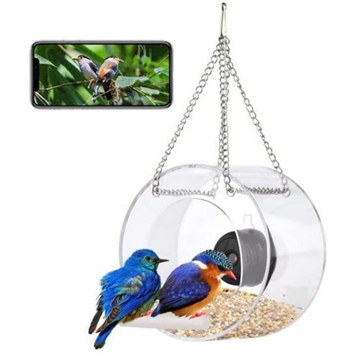 2023 Nouvelle mangeoire à oiseaux avec caméra, mangeoire à oiseaux  suspendue en acrylique intelligente avec caméra vidéo de nuit 1080p et base  pivotante 360, connexion à distance Wifi Wi
