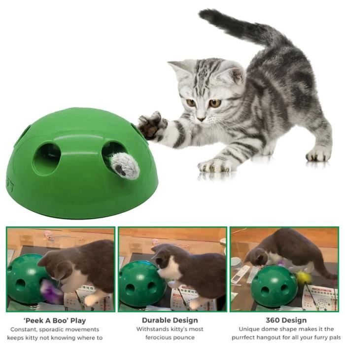 Pop N Play Jouet Electrique De Chat Drole Plateau De Chat Souris Artifact Pour Chat D Accompagnement Achat Vente Jouet Pop N Play Jouet Electrique Cdiscount Pop N Play Jouet Electrique De Chat Drole Plateau De Chat Souris Artifact Pour Chat D Accompagnement Achat Vente Jouet Pop N Play Jouet Electrique Cdiscount
