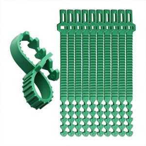 Lien Jardin Extensible Flandria 100m - Pour Tuteurer Plants De Tomates, Vignes Et Plantes Grimpantes