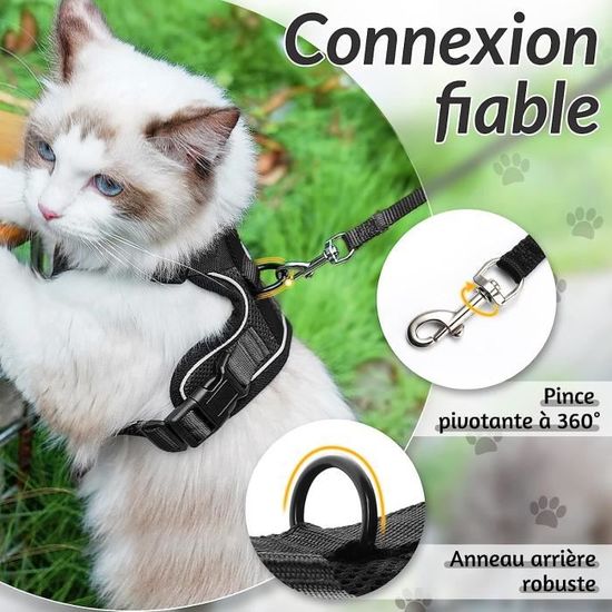 Harnais Anti-Traction Pour Petit Chien Ou Chat - Taille XXS (Noir) - Avec Laisse Réfléchissante - 4