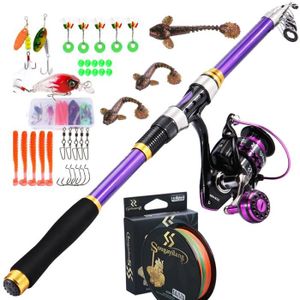 CANNE À PÊCHE violet-3.0M Rod-5000 Bobine-Canne à pêche télescopique avec moulinet Spinning Combos, kit complet, 1.8 3.3m,