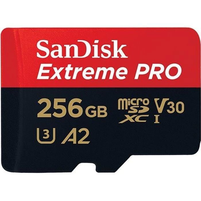 Sandisk Carte mémoire Compact Flash 256 Mo 47260 : : Informatique