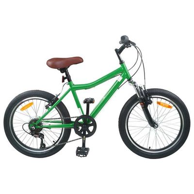 vidaXL Vélo de Montagne 24 Pouces 6-Speed, Guidons réglables, vélo de Montagne, Classique, vélo de Loisir, Cyclisme Tout Terrain, Fitness