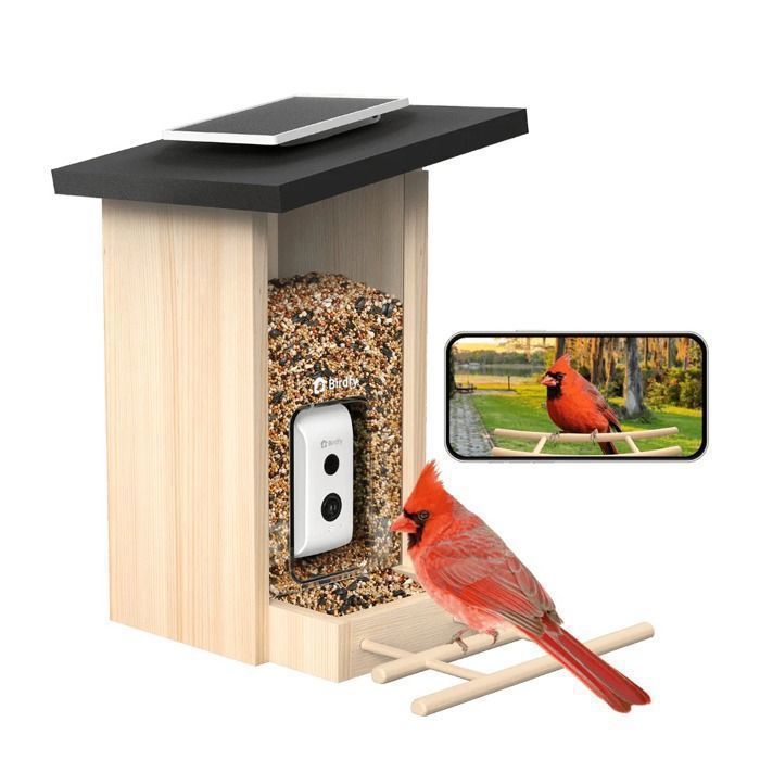 Birdfy Ebony Lite - Mangeoire Oiseaux Connectée avec Caméra HD WiFi - Reconnaissance IA des Espèces - Autonomie Panneau Solaire