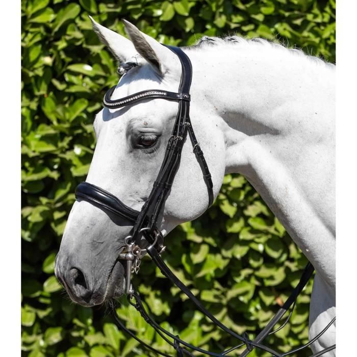 Chevaux de couleur Equitation Western à vendre | France Chevaux de couleur Equitation Western à vendre | France