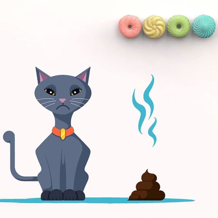 chat sens